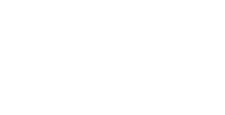 vai-kp-logo-weiss-ernst-hermann-schmidt.png